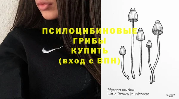 дурь Армянск