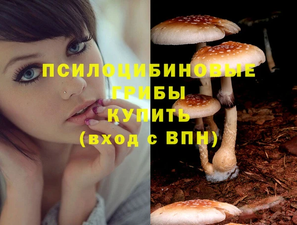 не бодяженный Арсеньев