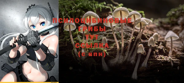 дурь Армянск