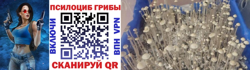 Галлюциногенные грибы мицелий  Купить где  Нягань 