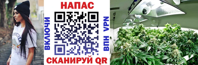 Купить где  Нягань  Марихуана SATIVA & INDICA 